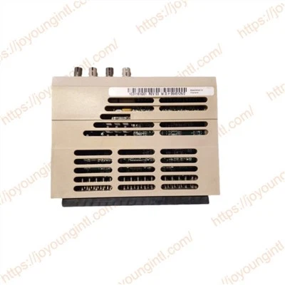 1C31181G01|Westinghouse Modul ličnosti
